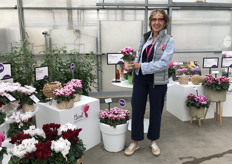 Florence Vaux of Morel Cyclamen holding Abanico® Select Mini Deep Magenta 